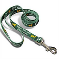 Heavy Duty Pet Leash